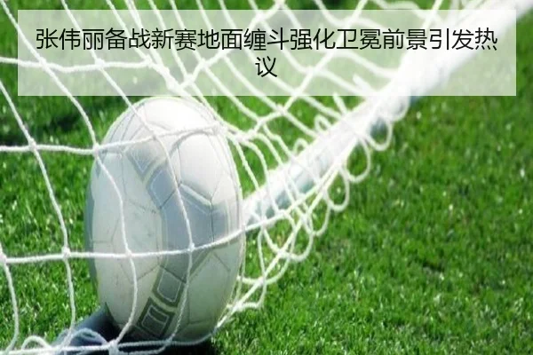 张伟丽备战新赛地面缠斗强化卫冕前景引发热议